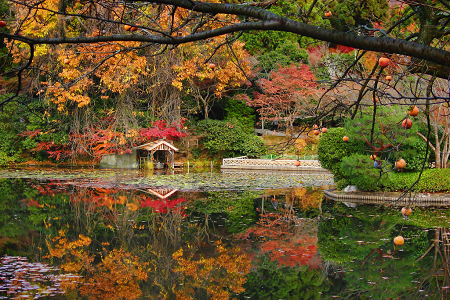 National Gardening Week: the world’s most impressive gardens