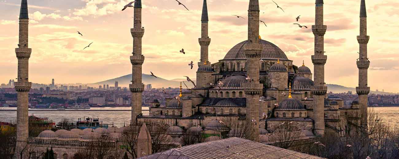 Istanbul Turkey Europe Asia Hagia Sophia birds