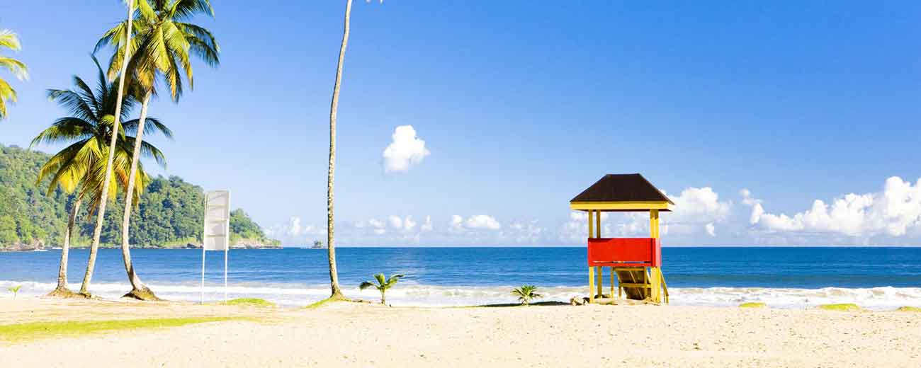 Maracas Beach sand palm trees