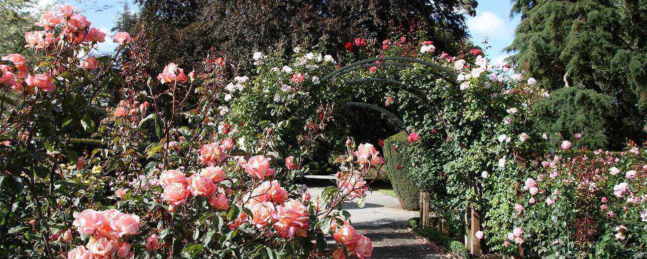 Christchurch Botanical Gardens Dorset