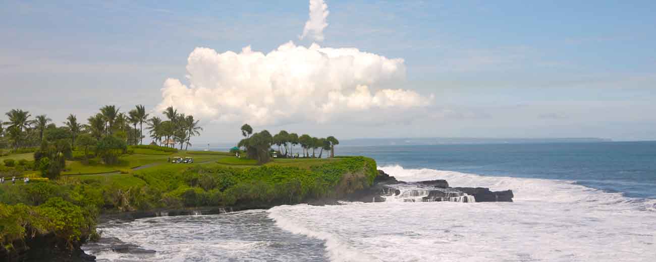 Bali Island Indonesia beach Palm trees