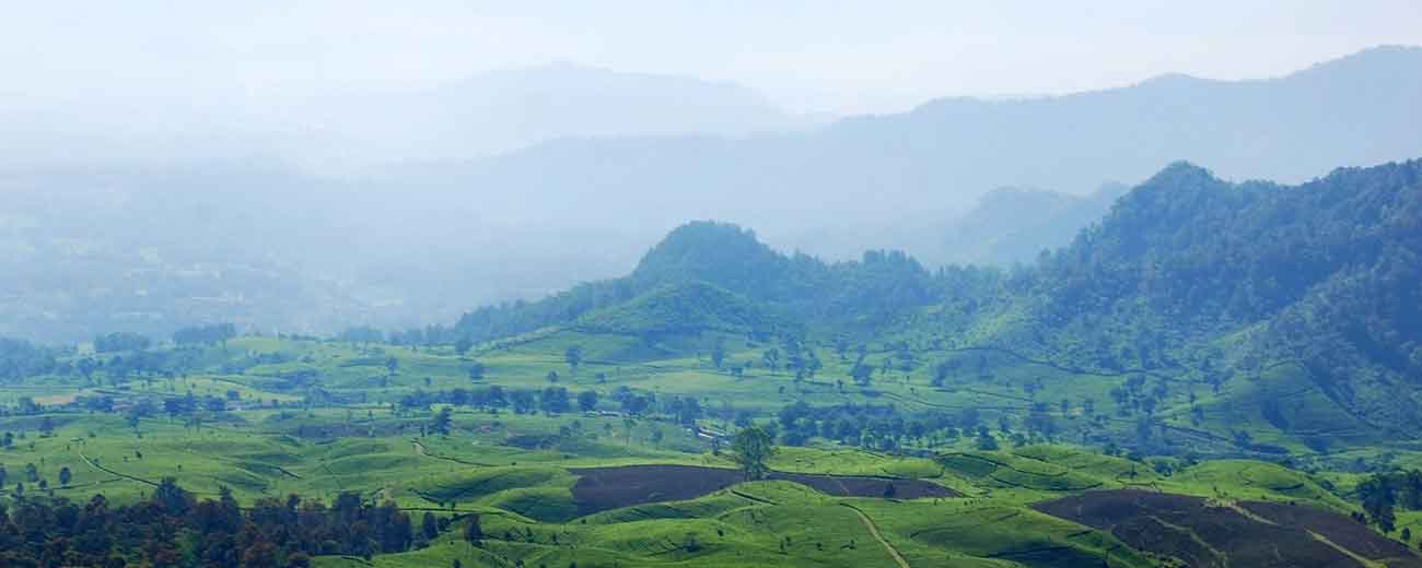 Bandung Indonesia Java Forest Mountain